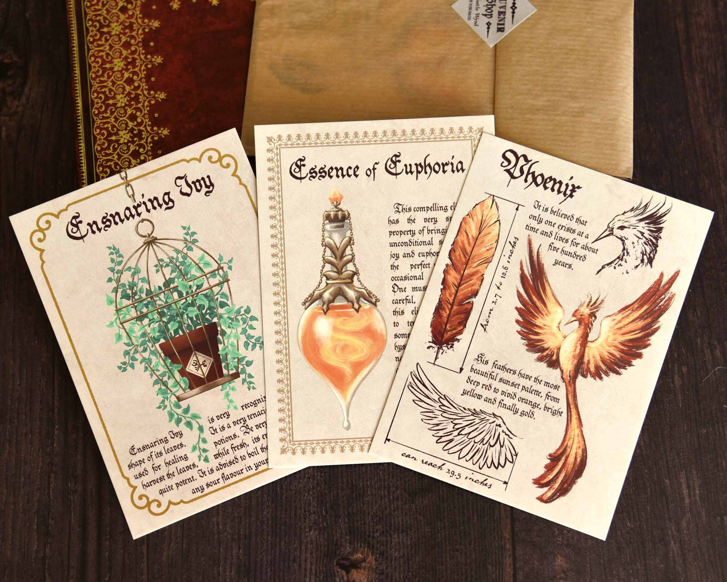 Cartes Postales Set 1