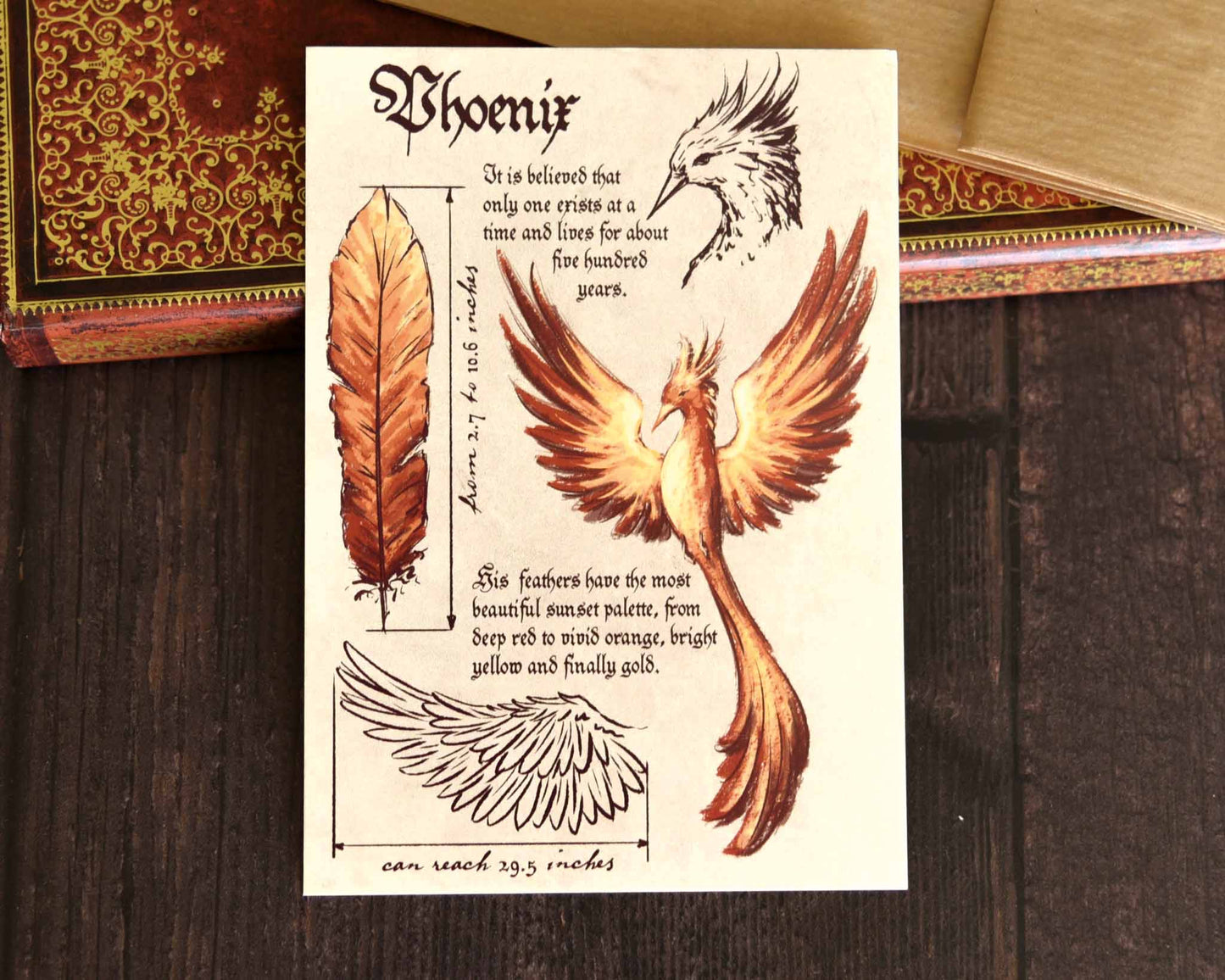 Cartes Postales Set 1