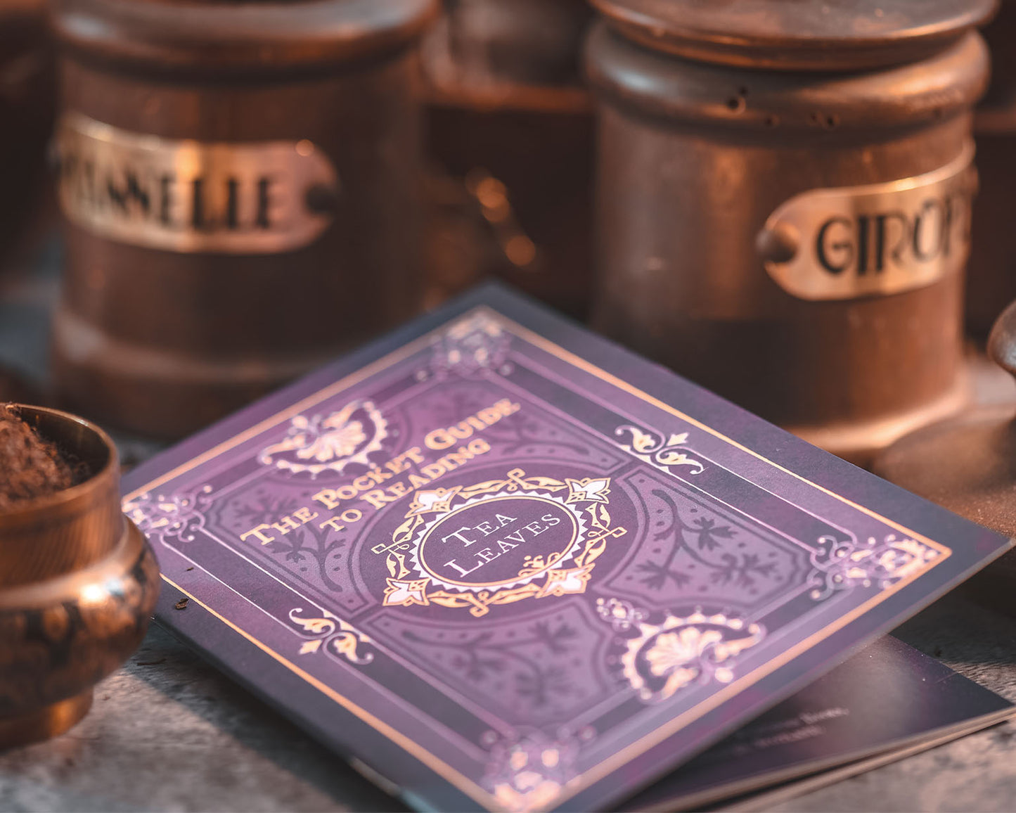 The Pocket Guide to Reading Tea Leaves