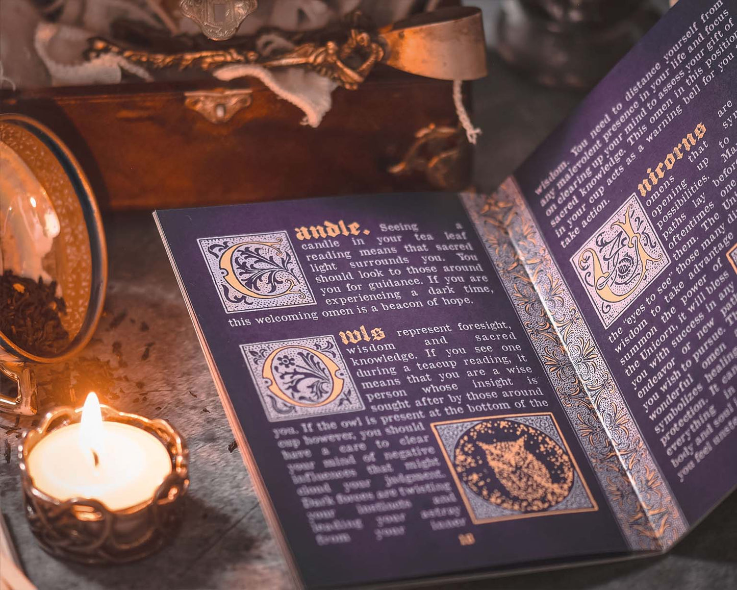 The Pocket Guide to Reading Tea Leaves