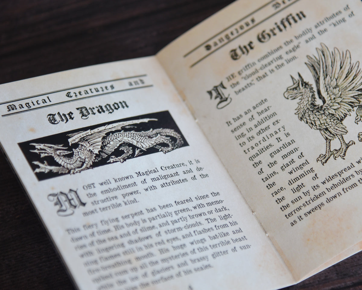 Magic Mist Book The Pocket Book of Magical Creatures – Mist & Magic
